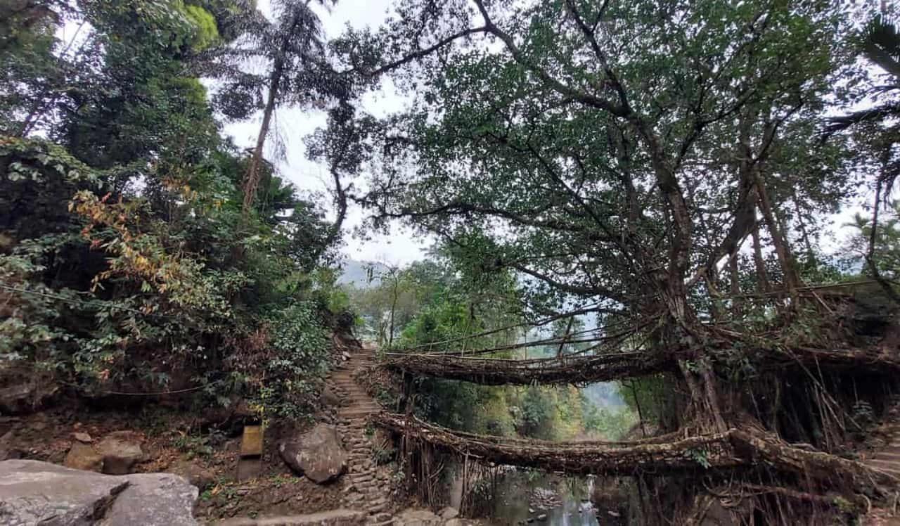 Odyssey Stays Nongriat - 3Kms Trek From Main Road Cherrapunji Buitenkant foto