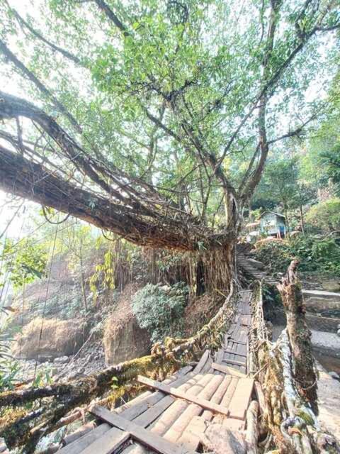 Odyssey Stays Nongriat - 3Kms Trek From Main Road Cherrapunji Buitenkant foto