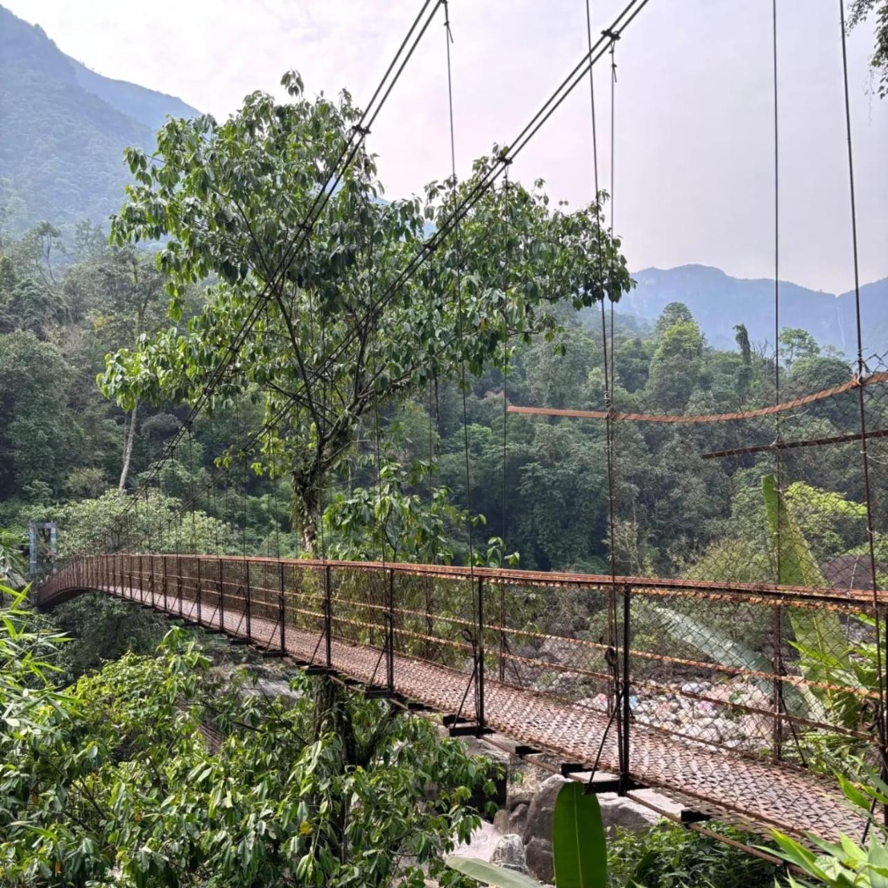 Odyssey Stays Nongriat - 3Kms Trek From Main Road Cherrapunji Buitenkant foto